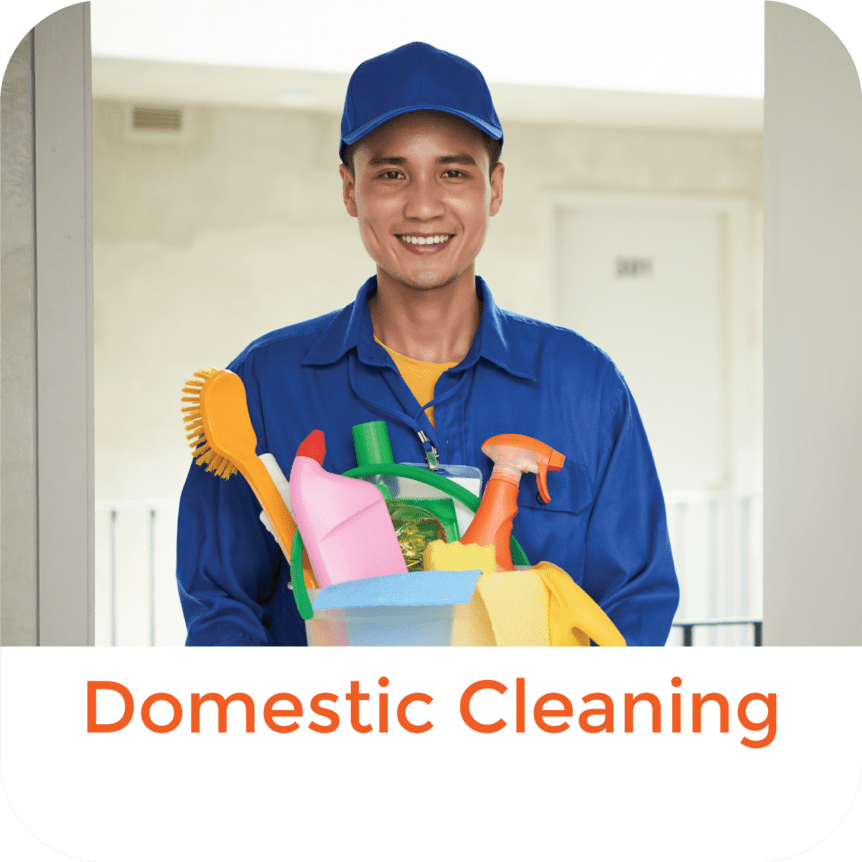 Domestic Cleaning